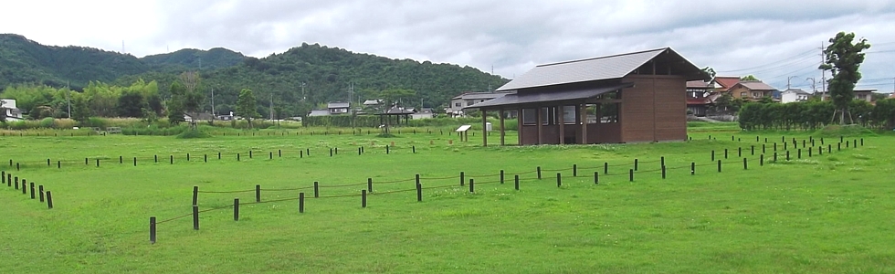 広島県東広島市の真言宗 安芸国分寺(安芸國分寺)